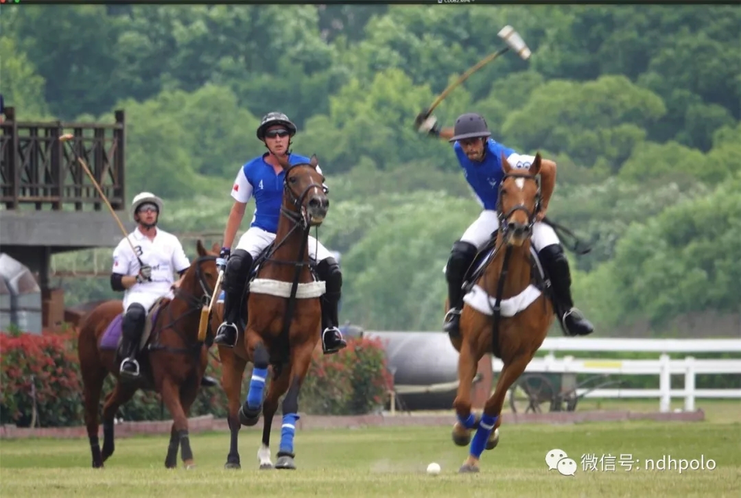 馬球 ��2019年阿根廷國慶杯馬球賽——別樣國慶ri活動